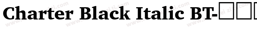 Charter Black Italic BT字体转换